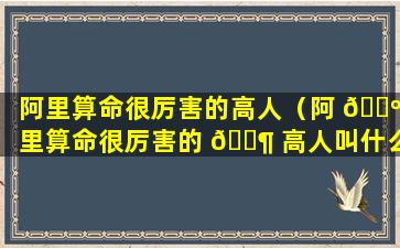 阿里算命很厉害的高人（阿 🐺 里算命很厉害的 🐶 高人叫什么）